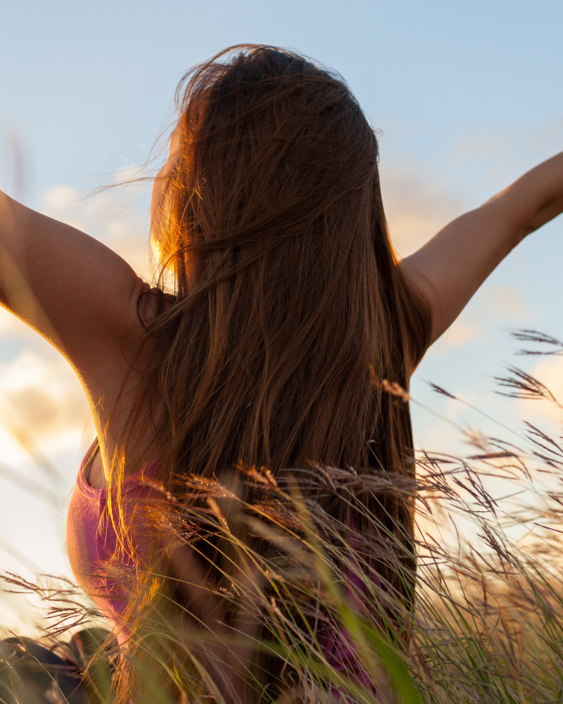 The Sacred Center Mentorship